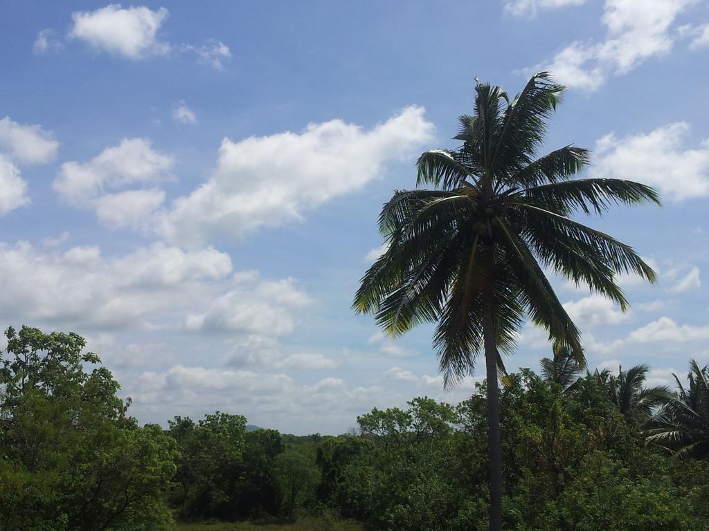 Hotel Kiyara Dambulla Bagian luar foto